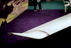 (Katana-Wing-tip)